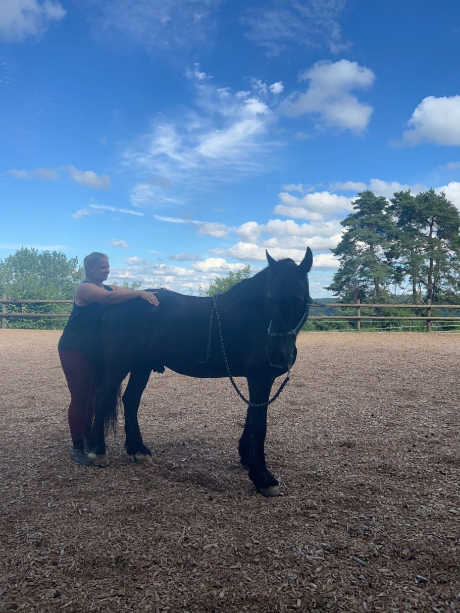 Osteopatische Behandlung