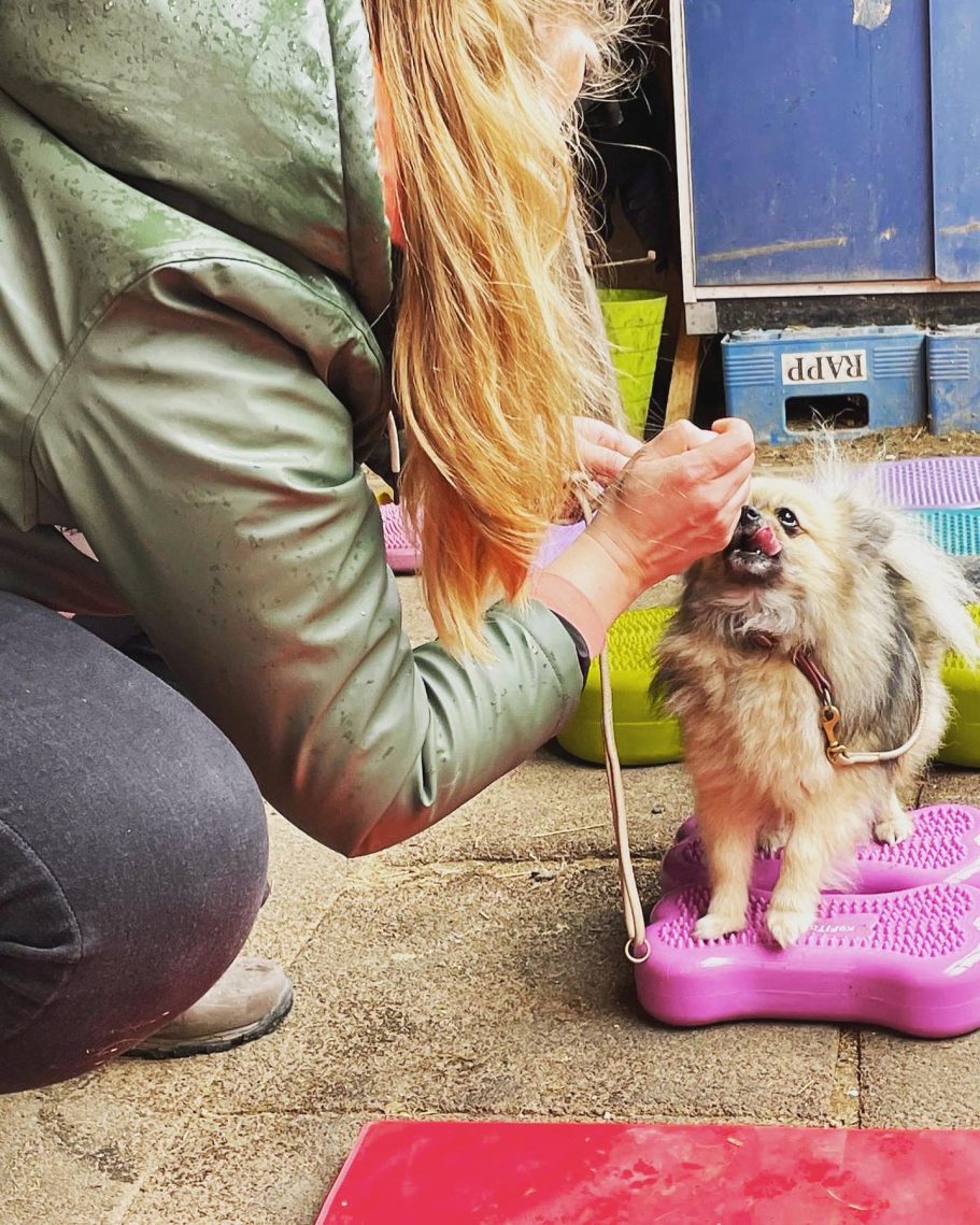 Physiotherapeutische Behandlung